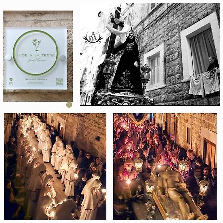 Inde A La Terre, Guest House Locazione Turistica Мольфетта Екстер'єр фото